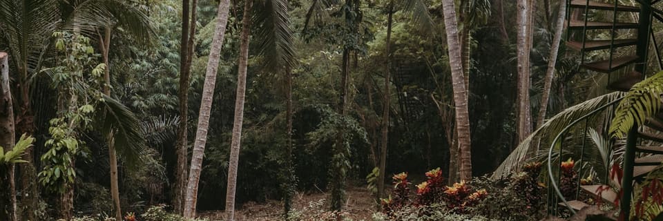 Bali temple at sunrise